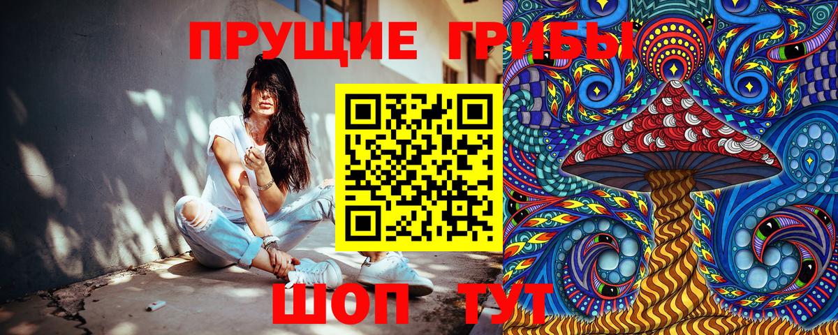 Псилоцибиновые грибы ЛСД Курчалой
