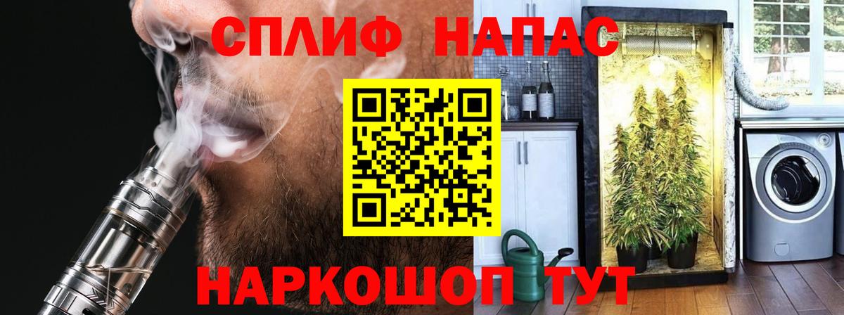 Курчалой  МАРИХУАНА гибрид  Бошки Шишки MAZAR  Вход с VPN 